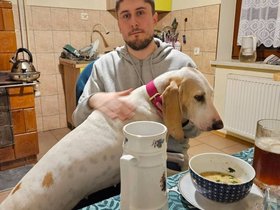 Animals